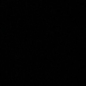 Meet your Posher, Bobby